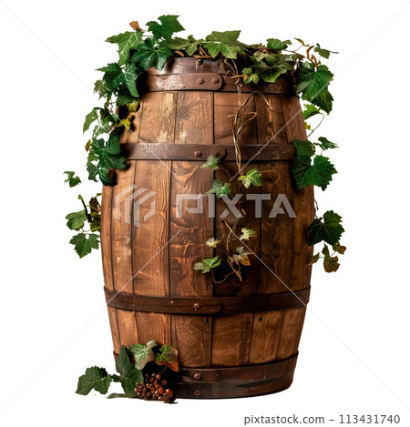 Barrels overgrown with grape leaves isolated on a white or transparent background. Close-up of wine barrels, side view. Graphic design element. Barrels overgrown with grape leaves isolated on a white or transparent background. Close-up of wine barrels, side view. Graphic design element. 113431740