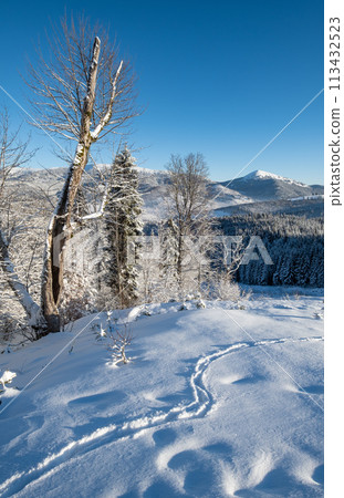 Winter Gorgany massiv mountains scenery view from Yablunytsia pass, Carpathians, Ukraine. 113432523