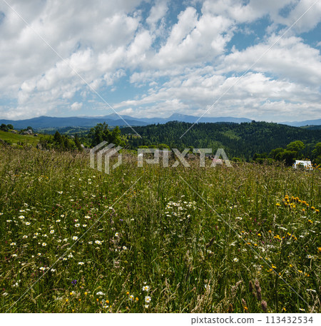 Summer Chornohora massiv mountains scenery view from Sevenei hill (near Yablunytsia pass, Carpathians, Ukraine.) 113432534