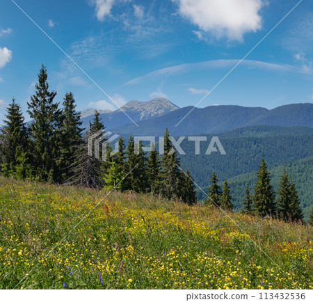 Summer Gorgany massiv mountains scenery view from Sevenei hill (near Yablunytsia pass, Carpathians, Ukraine.) 113432536
