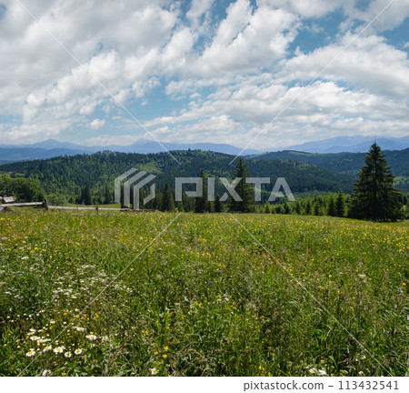 Summer Chornohora massiv mountains scenery view from Sevenei hill (near Yablunytsia pass, Carpathians, Ukraine.) 113432541