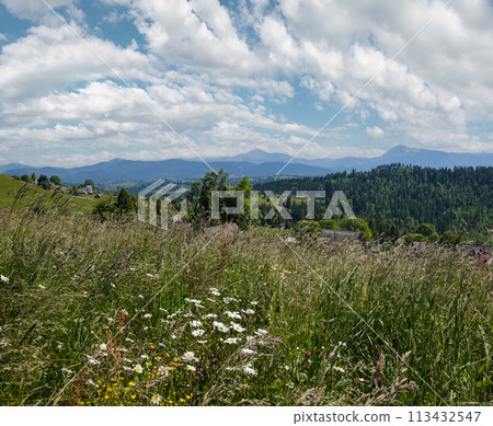 Summer Chornohora massiv mountains scenery view from Sevenei hill (near Yablunytsia pass, Carpathians, Ukraine.) 113432547
