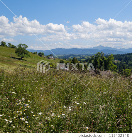 Summer Chornohora massiv mountains scenery view from Sevenei hill (near Yablunytsia pass, Carpathians, Ukraine.) 113432548