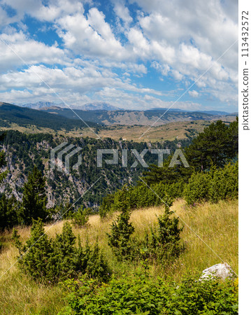 Summer Tara Canyon in mountain Durmitor National Park, Montenegro 113432572