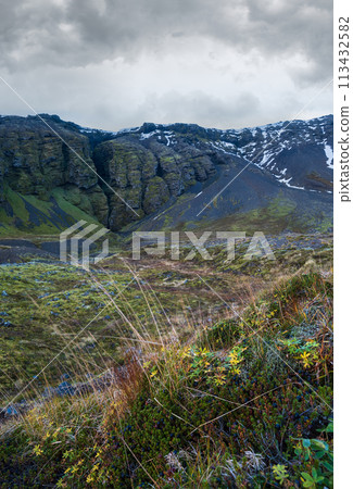 View during auto trip in West Iceland highlands, Snaefellsnes peninsula, Snaefellsjokull National Park. Spectacular volcanic view of Raudfeldsgja Gorge. 113432582