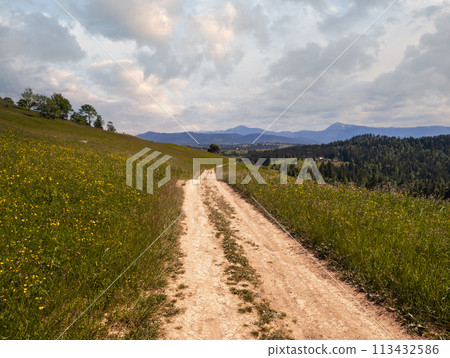 Summer Chornohora massiv mountains scenery view from Sevenei hill (near Yablunytsia pass, Carpathians, Ukraine.) 113432586