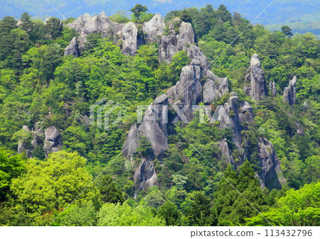 新鮮的綠色Yamakei（新鮮的綠色圖像） 113432796