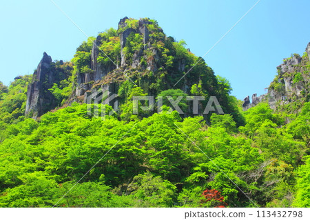 山溪的新綠(一覽八景、新綠意象) 山溪的新綠(一覽八景、新綠意象) 113432798