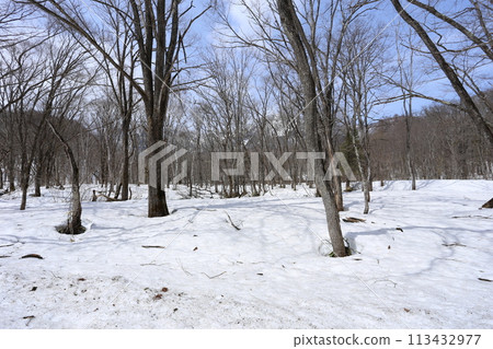 北方山麓，積雪正在融化 113432977
