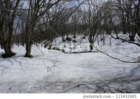 Snow melts in the foothills of northern Japan 113432985