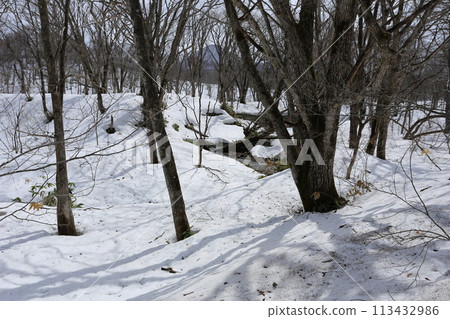 Snow melts in the foothills of northern Japan 113432986