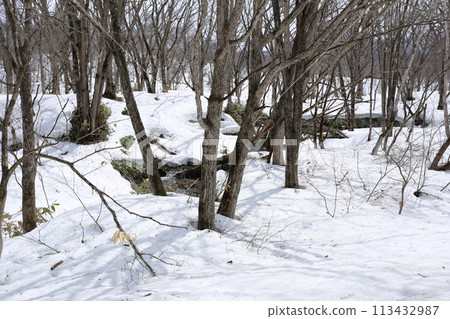 北方山麓,積雪正在融化 北方山麓,積雪正在融化 113432987
