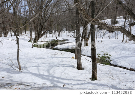 北方山麓,積雪正在融化 北方山麓,積雪正在融化 113432988
