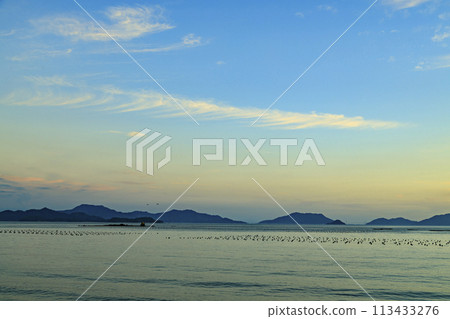 瀨戶內海的日落與排列的牡蠣筏 113433276