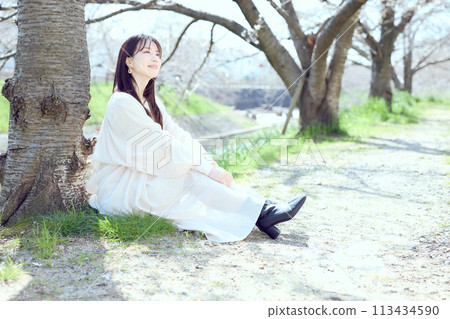 Woman sitting under cherry blossoms Woman sitting under cherry blossoms 113434590