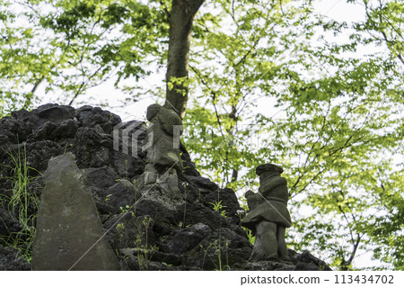 清瀧神社的藤塚 清瀧神社的藤塚 113434702