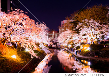 Toyama City Matsukawa River cherry blossoms light up Toyama City Matsukawa River cherry blossoms light up 113434970