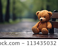 Lonely lost bear on a bench in a rainy park.  113435032
