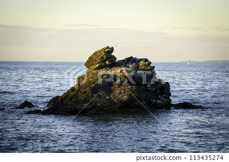 二見浦的青蛙岩 二見浦的青蛙岩 113435274