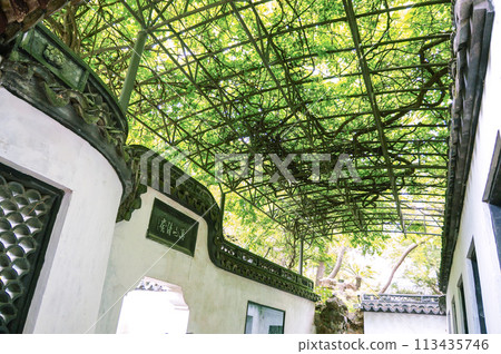 Grass roof 113435746