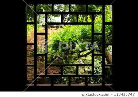Patterned lattice 113435747