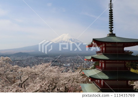View of Mt. Fuji, cherry blossoms and the five-story pagoda from the observation deck 3 View of Mt. Fuji, cherry blossoms and the five-story pagoda from the observation deck 3 113435769