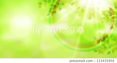 新的綠色留下風景背景 113435958