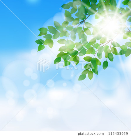 新的綠色留下風景背景 新的綠色留下風景背景 113435959