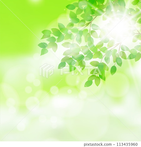 New green leaves landscape background 113435960