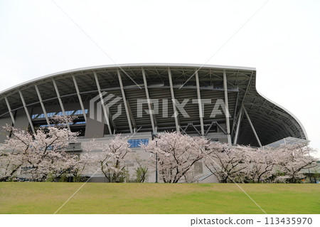 Edion Peace Wing Hiroshima 113435970