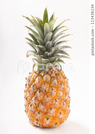 Taiwanese pineapple 113436134