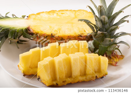 台灣松 台灣松 113436146