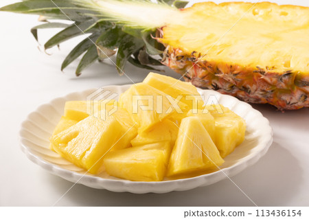 台灣松 台灣松 113436154