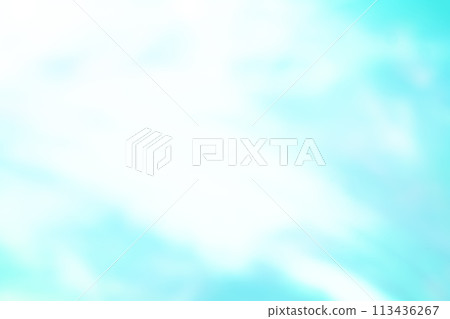 淺綠色動態影像(背景資料) 淺綠色動態影像(背景資料) 113436267