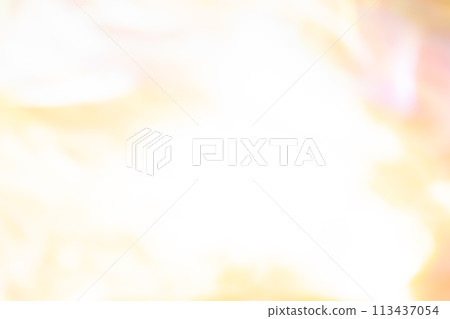 橙色動態影像(背景資料) 橙色動態影像(背景資料) 113437054
