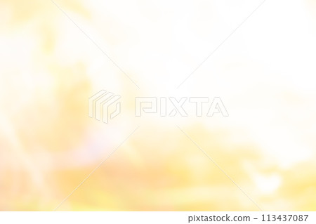 橙色動態影像(背景資料) 橙色動態影像(背景資料) 113437087
