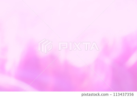 粉紅色動態影像（背景資料） 113437356