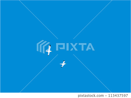 An illustration of two seagulls flying in the blue sky An illustration of two seagulls flying in the blue sky 113437597