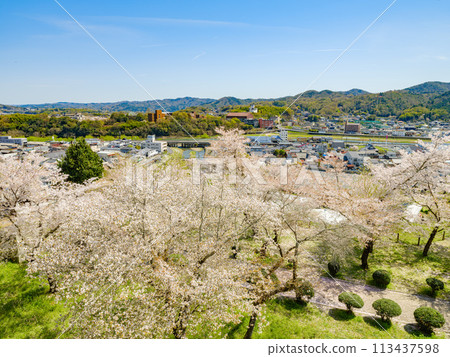 Tsuyama Castle in spring with cherry blossoms in full bloom, Okayama Prefecture, Travel Tsuyama Castle in spring with cherry blossoms in full bloom, Okayama Prefecture, Travel 113437598