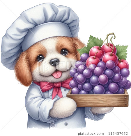 dog wearing a chef's uniform holding grapes clipart watercolor 113437652
