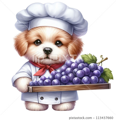 dog wearing a chef's uniform holding grapes clipart watercolor 113437660
