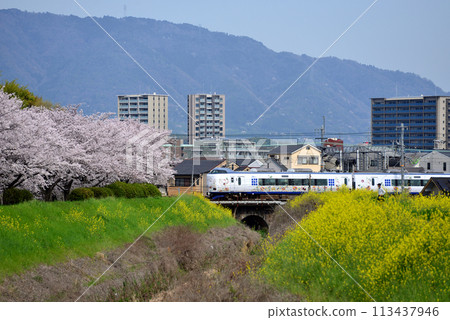 Spring in Otokuni and the Kansai Airport Express Haruka 113437946