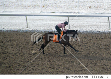 Race horse with jockeys on the home straight. Shaving effect. Race horse with jockeys on the home straight. Shaving effect. 113438197