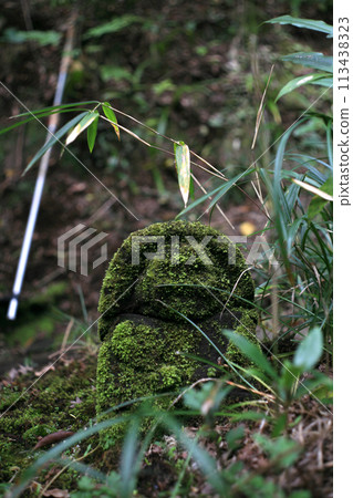 Moss-covered Buddha on the approach to the shrine Moss-covered Buddha on the approach to the shrine 113438323