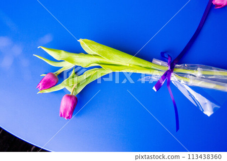 Flowers tulips pink with bright green stems and leaves on a blue background. 113438360