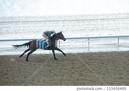Race horse with jockeys on the home straight. Shaving effect. Race horse with jockeys on the home straight. Shaving effect. 113438409