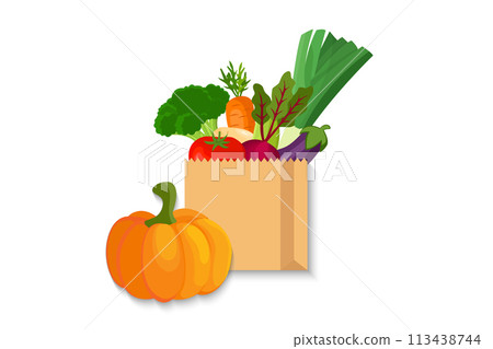 illustration of shopping bag full of fresh vegetable 113438744