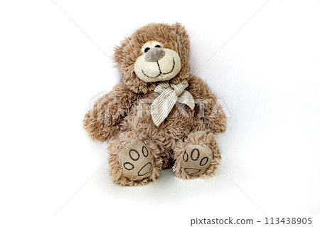 Lovely brown bear doll isolated on white background. Adorable teddy bear for decorative. 113438905