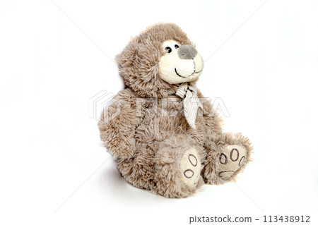 Teddy Bear brown, Teddy Bear doll isolated on white background Teddy Bear brown, Teddy Bear doll isolated on white background 113438912