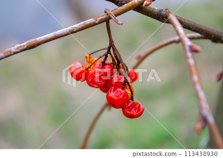 Kids having fun in ferris wheel with chains, carousel ski flyer in amusement park in Targoviste, Romania, 2020. 113438930